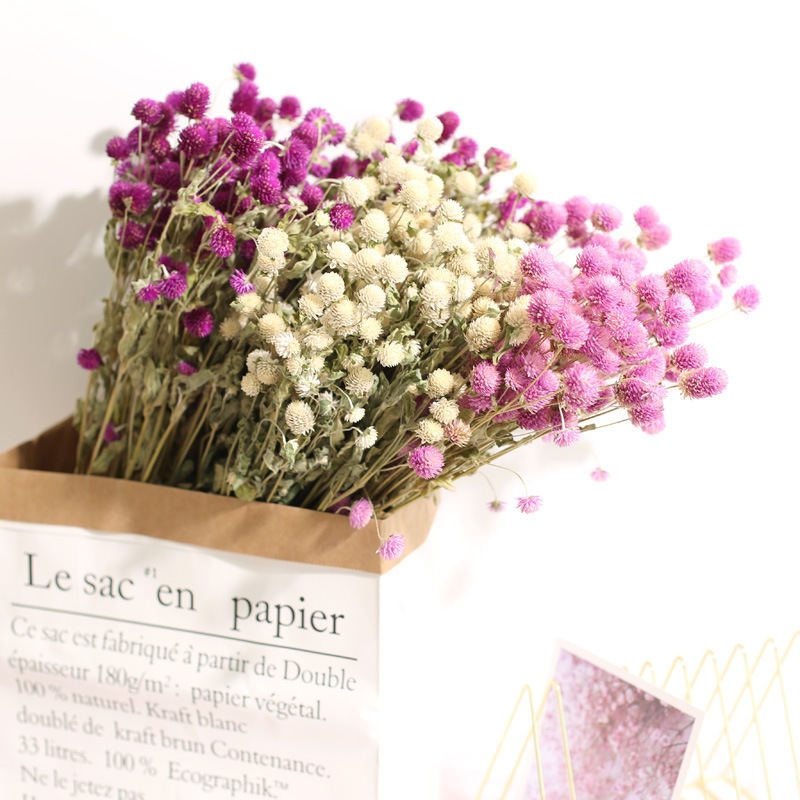 Natural Florist Supply - Natural Preservado Seco Amaranto Flores Buquê,