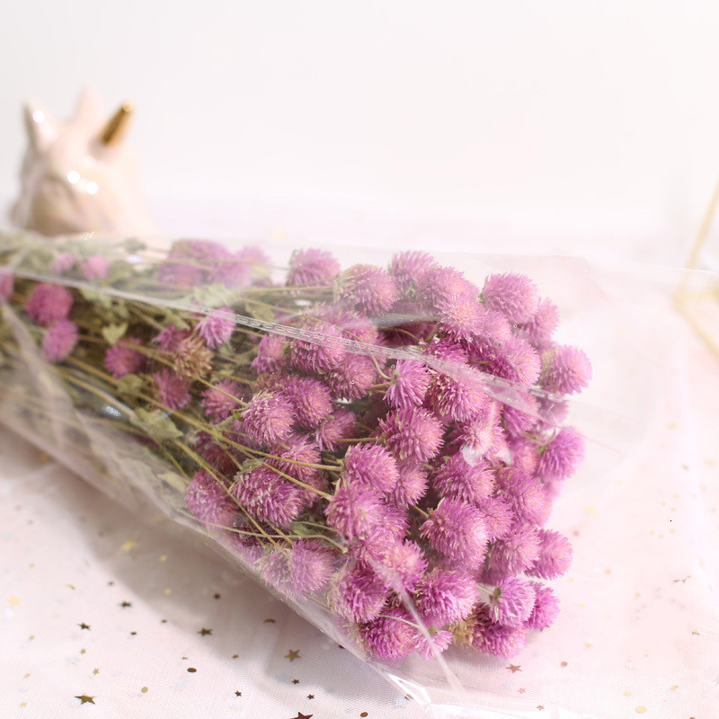 Natural Preservado Seco Amaran - Natural Florist Supply avaliação e preço